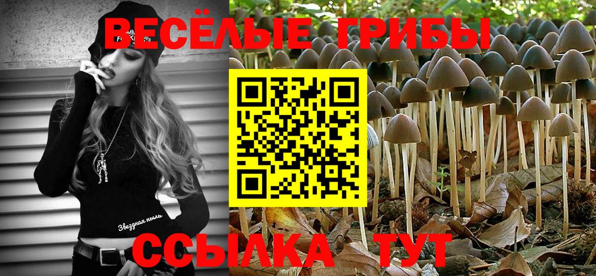 Псилоцибиновые грибы ЛСД  Галлюциногенные грибы MAGIC MUSHROOMS  Миллерово  закладки  Вход с VPN 