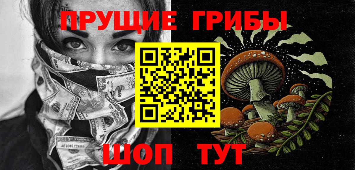 Галлюциногенные грибы Psilocybe Миллерово